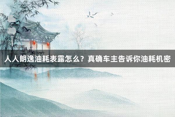 人人朗逸油耗表露怎么？真确车主告诉你油耗机密